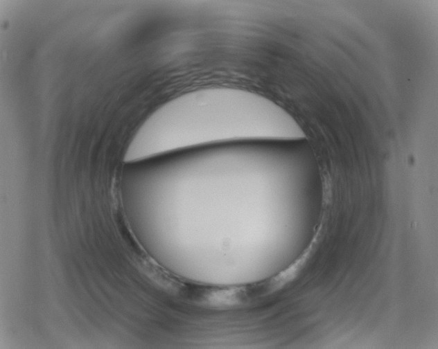 X0000080720178200612150847