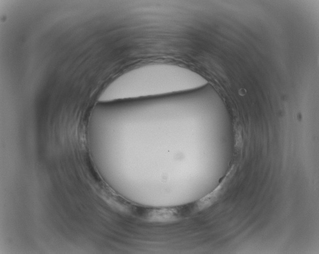 X0000080720179200612150847