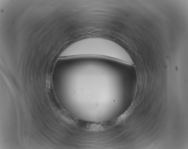 X0000080720180200612150847