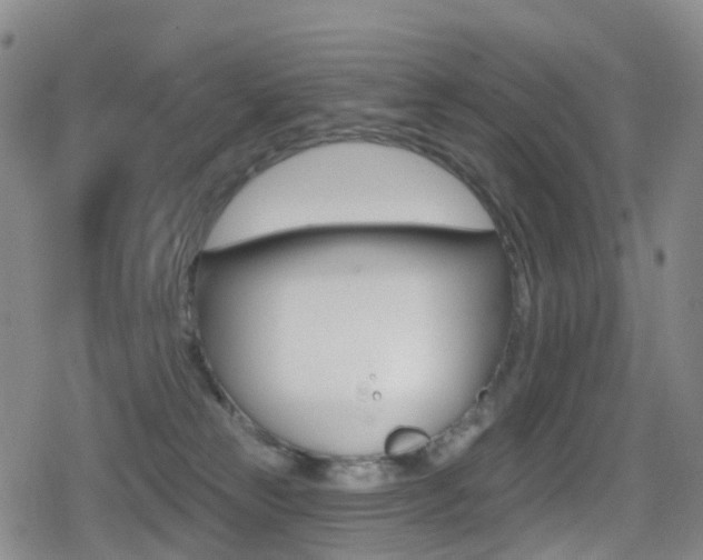 X0000080720181200612150847