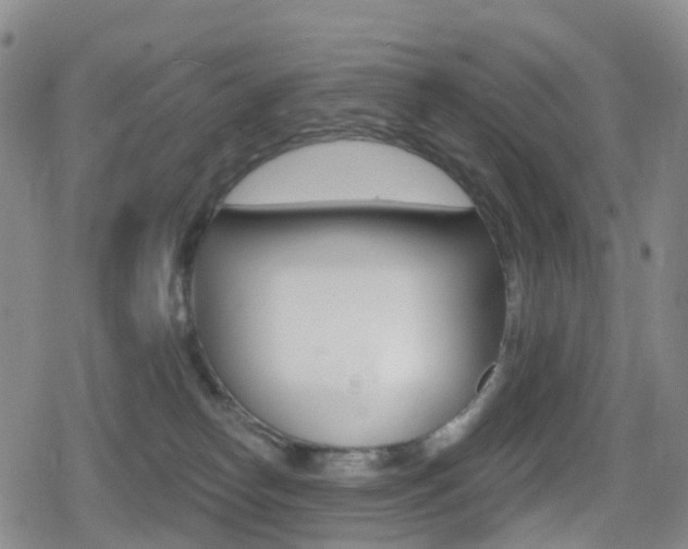 X0000080720182200612150847