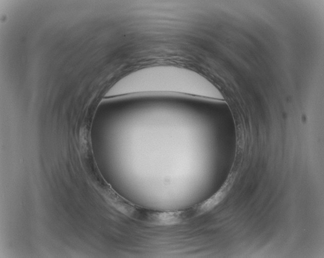 X0000080720184200612150847