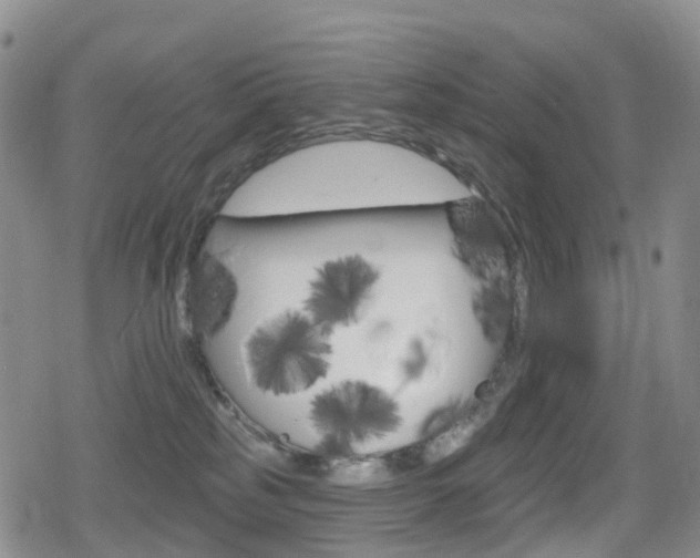 X0000080720185200612150847