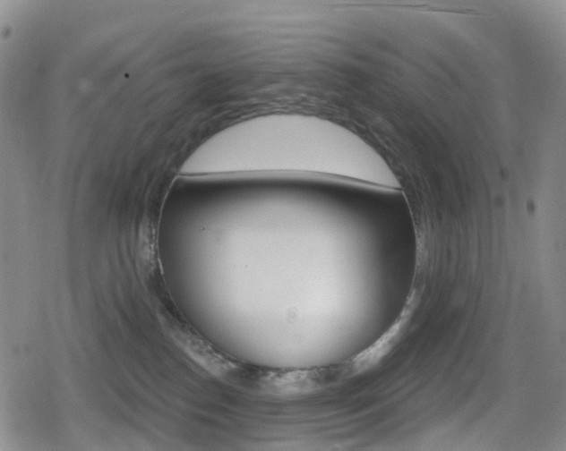 X0000080720186200612150847