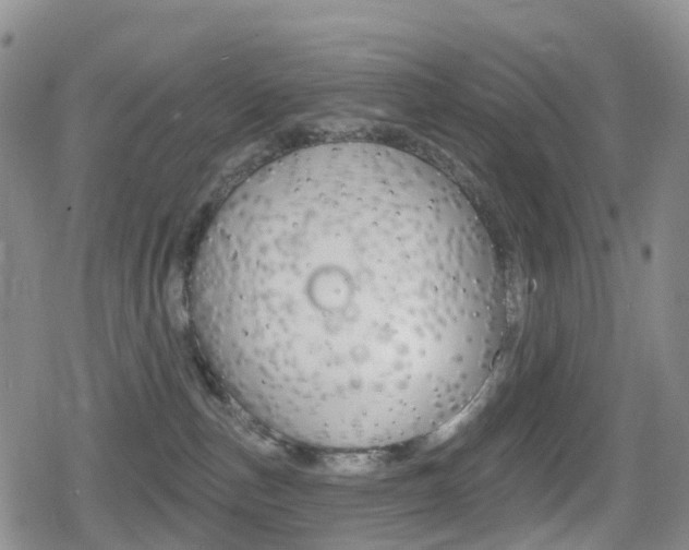 X0000080720187200612150847