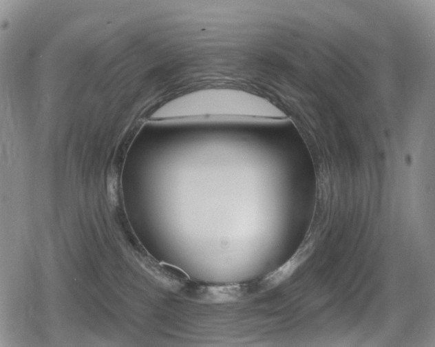 X0000080720188200612150847