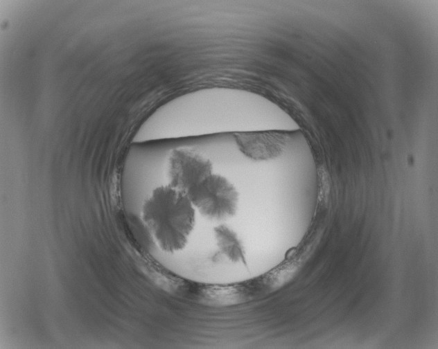 X0000080720189200612150847