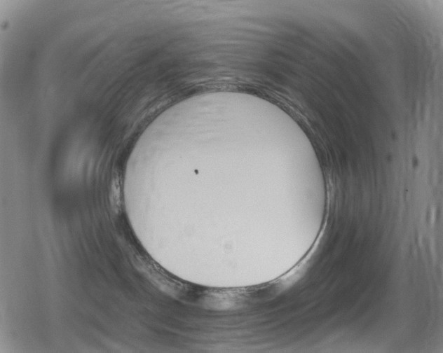 X0000080720190200612150847