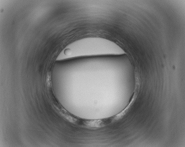 X0000080720191200612150847