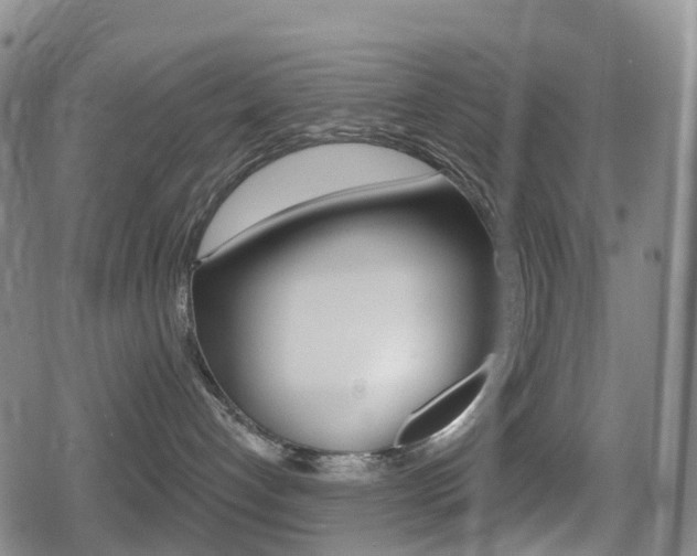 X0000080720192200612150847