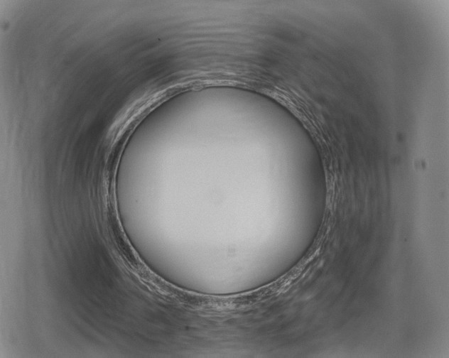 X0000080720194200612150847