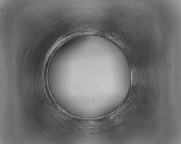 X0000080720195200612150847