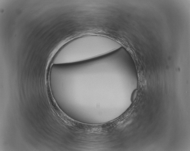 X0000080720196200612150847