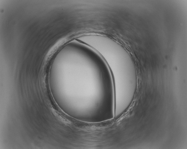 X0000080720197200612150847