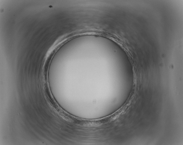 X0000080720198200612150847