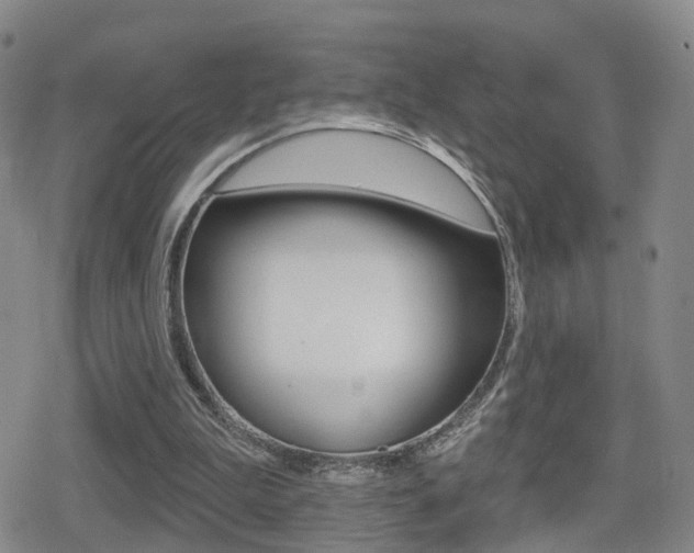 X0000080720199200612150847