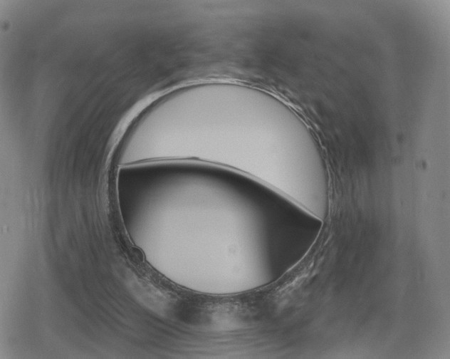 X0000080720200200612150847