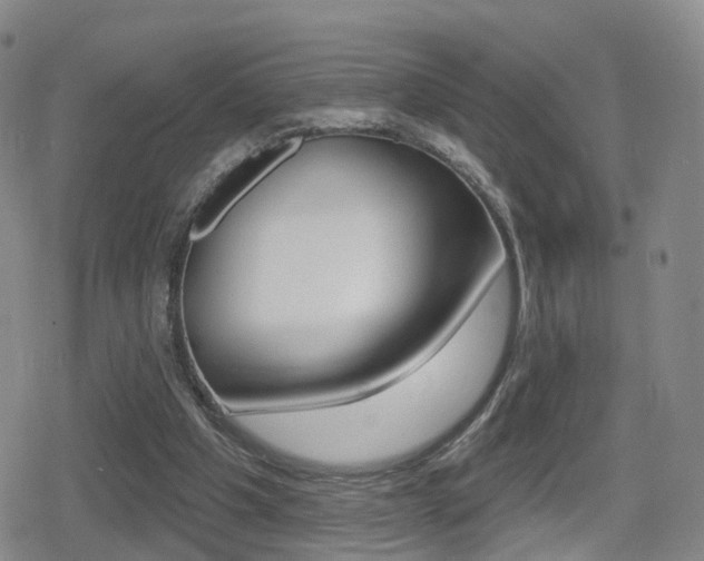 X0000080720201200612150846