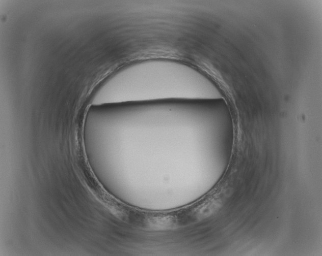 X0000080720202200612150846