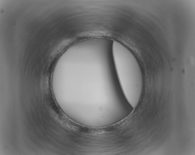 X0000080720206200612150846