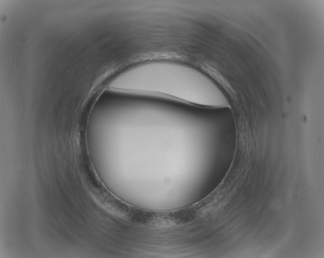 X0000080720207200612150846