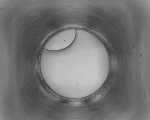 X0000080720208200612150846