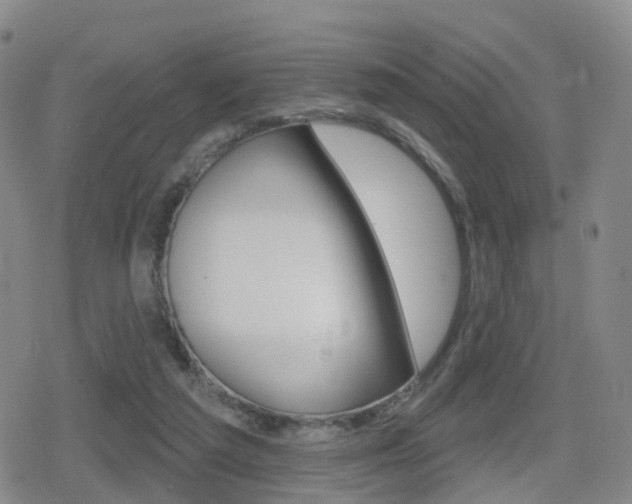 X0000080720209200612150846