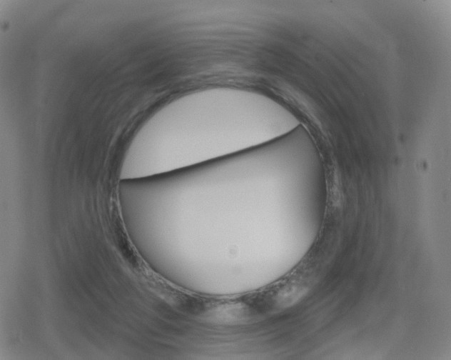 X0000080720210200612150846