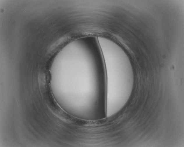 X0000080720211200612150846