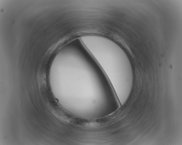 X0000080720212200612150846