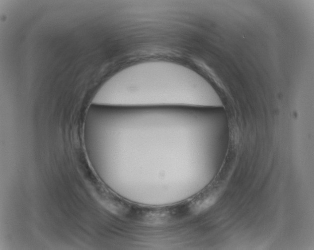 X0000080720213200612150846