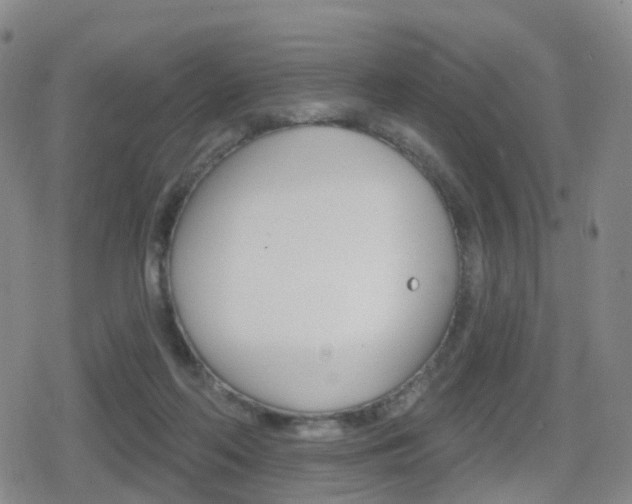 X0000080720214200612150846