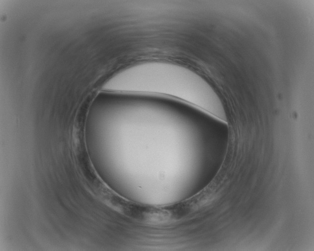 X0000080720215200612150846