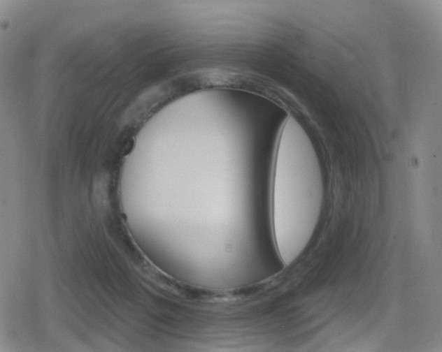 X0000080720217200612150846