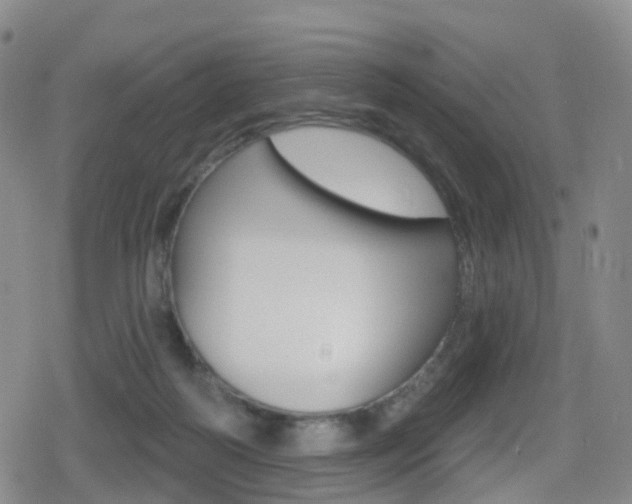 X0000080720218200612150846