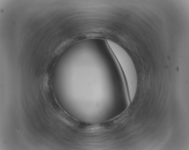 X0000080720219200612150846