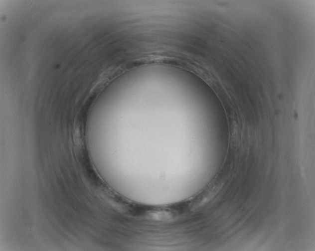 X0000080720220200612150846