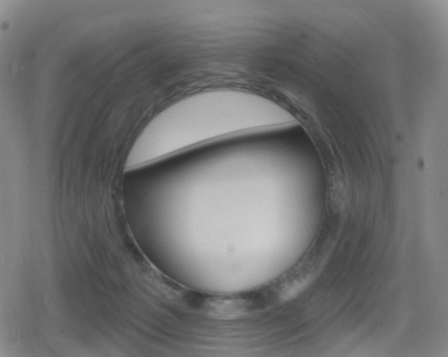 X0000080720221200612150846