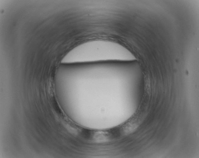 X0000080720222200612150846