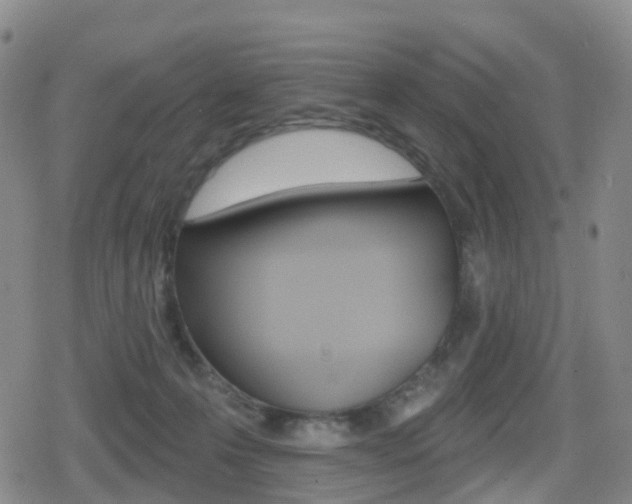 X0000080720223200612150846