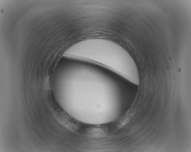 X0000080720224200612150846