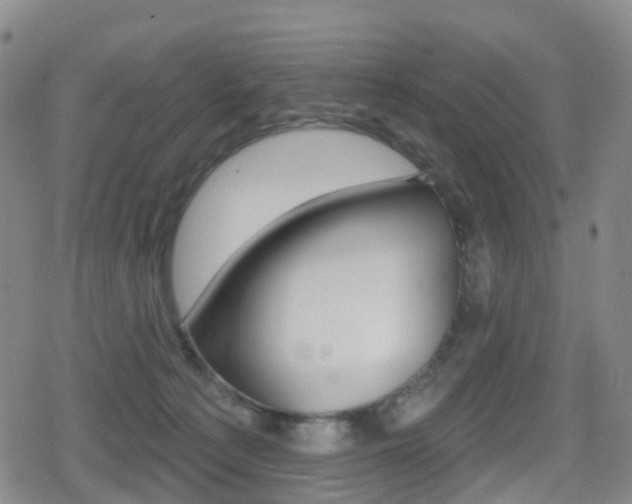 X0000080720225200612150846