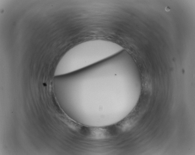 X0000080720226200612150846