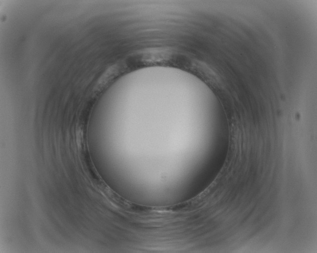 X0000080720227200612150846