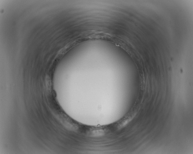 X0000080720228200612150846