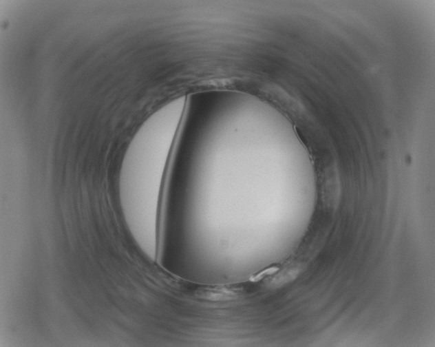 X0000080720229200612150846