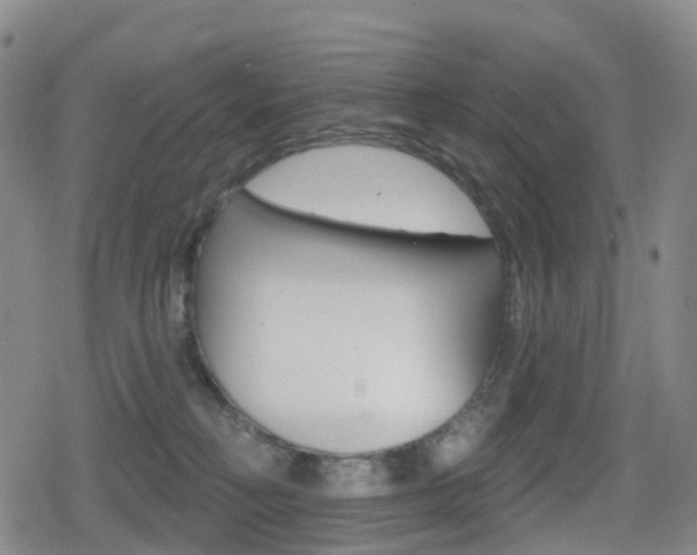 X0000080720230200612150846