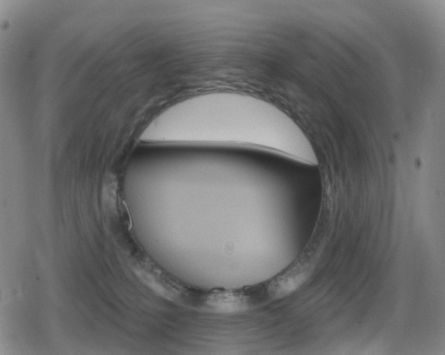 X0000080720231200612150846