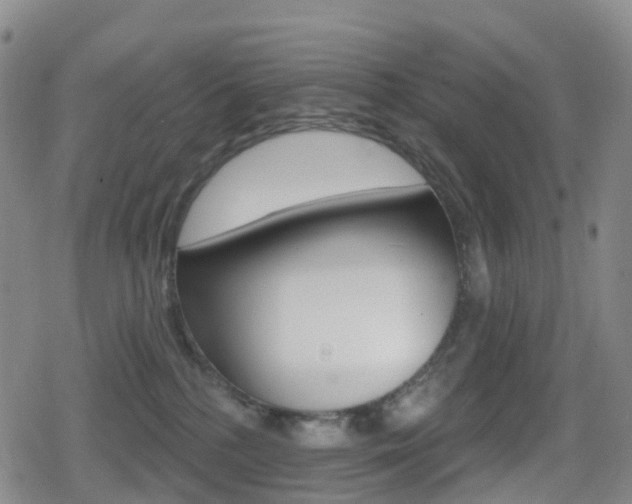 X0000080720232200612150846