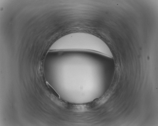 X0000080720233200612150846